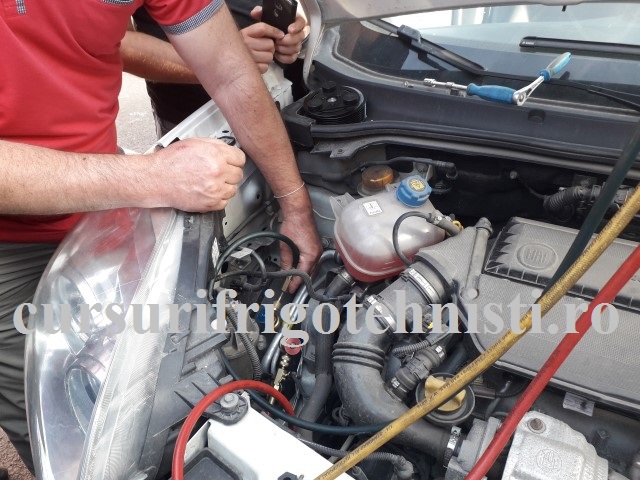 20180523_183118 (Small).jpg