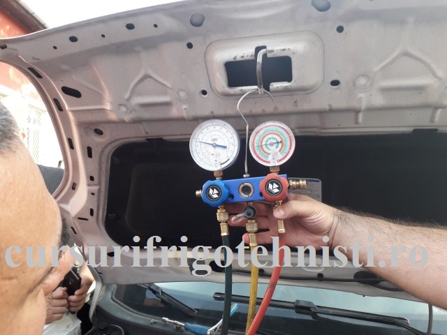 20180523_183203 (Small).jpg