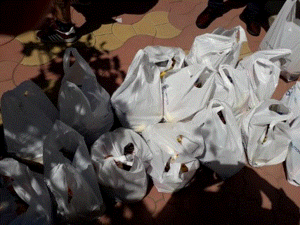 alt rand de pachete (Mobile).gif