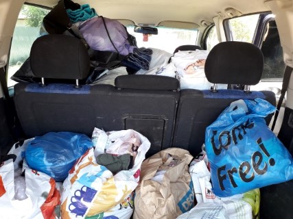 golim una din masini  (Mobile).jpg