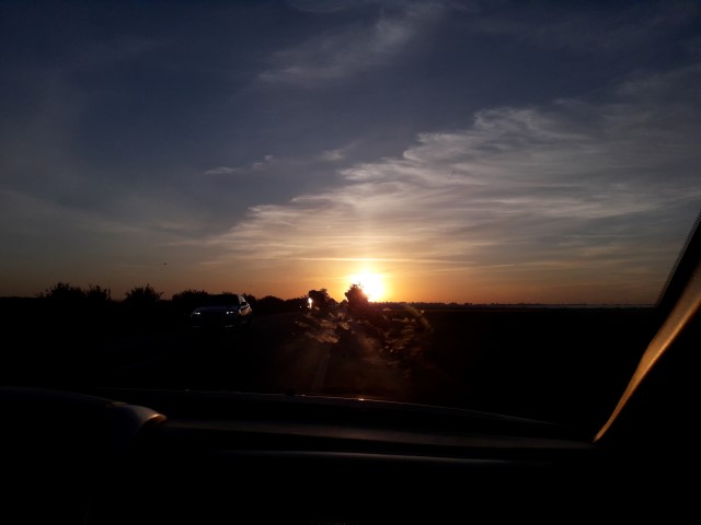 Pe langa buxau am vazut rasaritul soarelui (Small).jpg