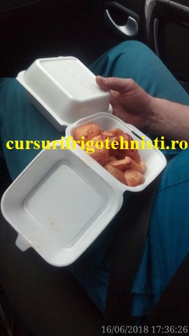 Frigotehnistii in pauza (Mobile).jpg