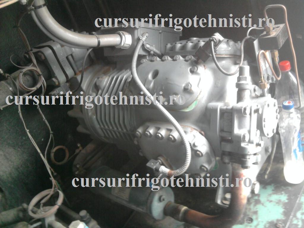 Fotografie0024 (Custom).jpg