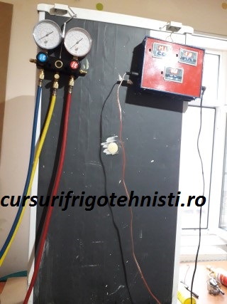 20180806_103316 (Mobile).jpg