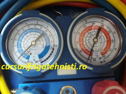 20180806_111555 (Mobile).jpg