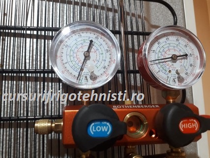 20180806_124648 (Mobile).jpg