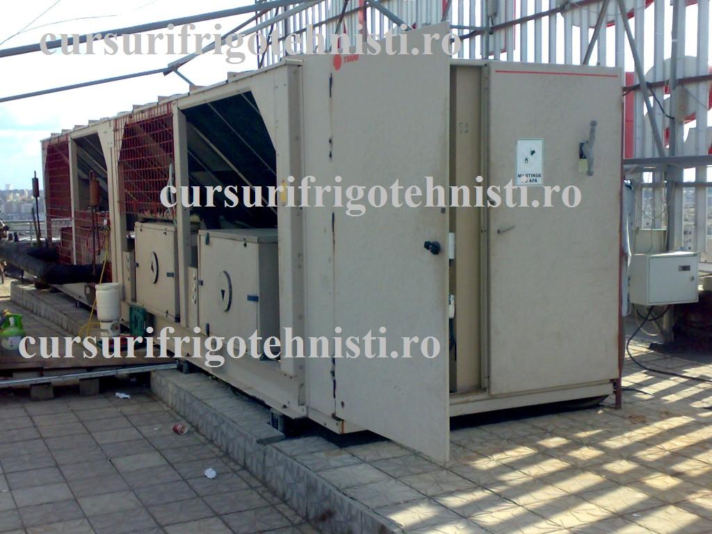 08052012201 (Custom).jpg