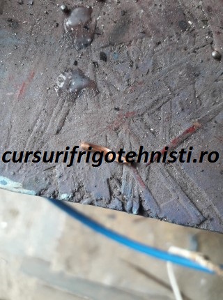 inadit capilarul (Mobile).jpg