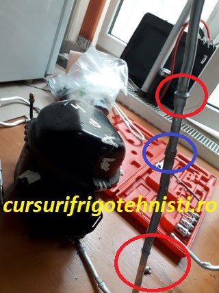 20180904_141018 (Mobile).jpg