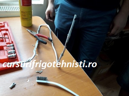 20180904_141025 (Mobile).jpg