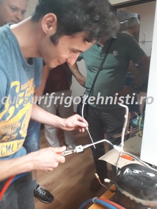 20180905_125607 (Mobile).jpg