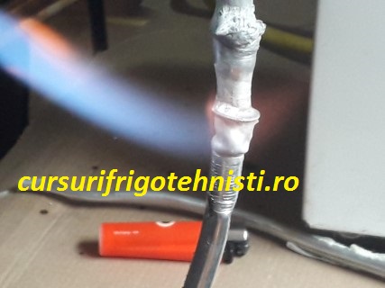 20180905_125658 (Mobile).jpg