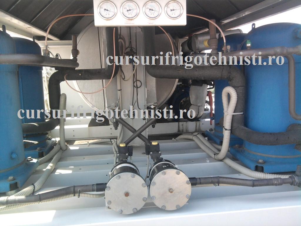 Fotografie0054 (Custom).jpg