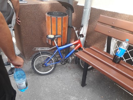 Bicicleta pentru Diana.jpg