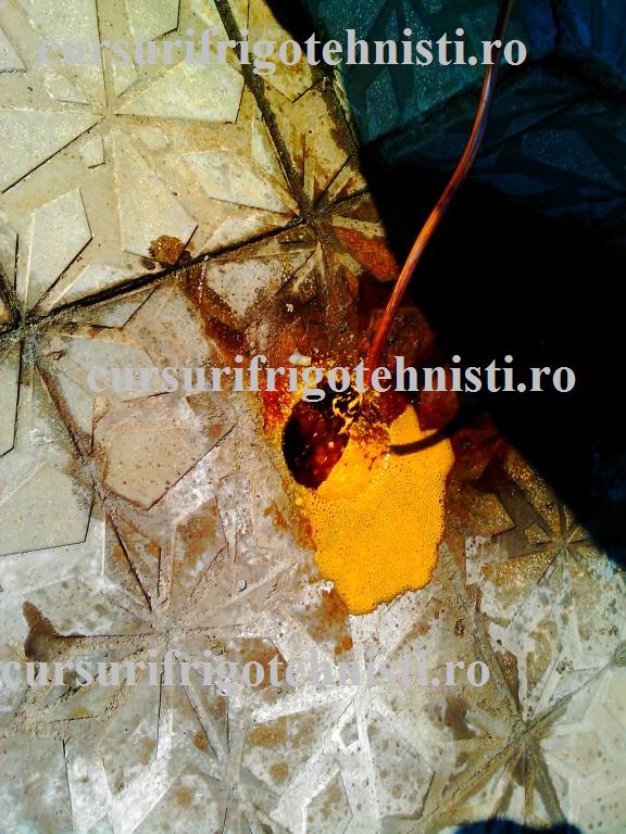 Ce iesea dupa purajare cu azot (Custom).jpg