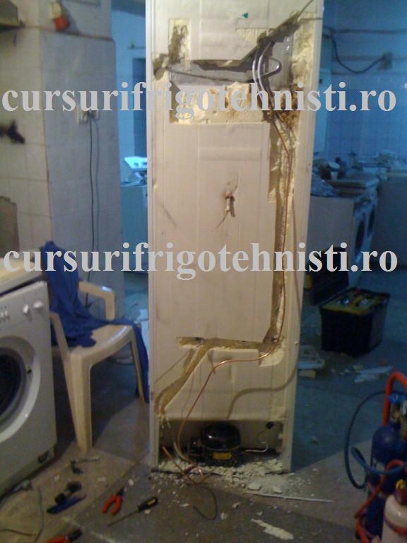 IMG_0213 (Custom).jpg