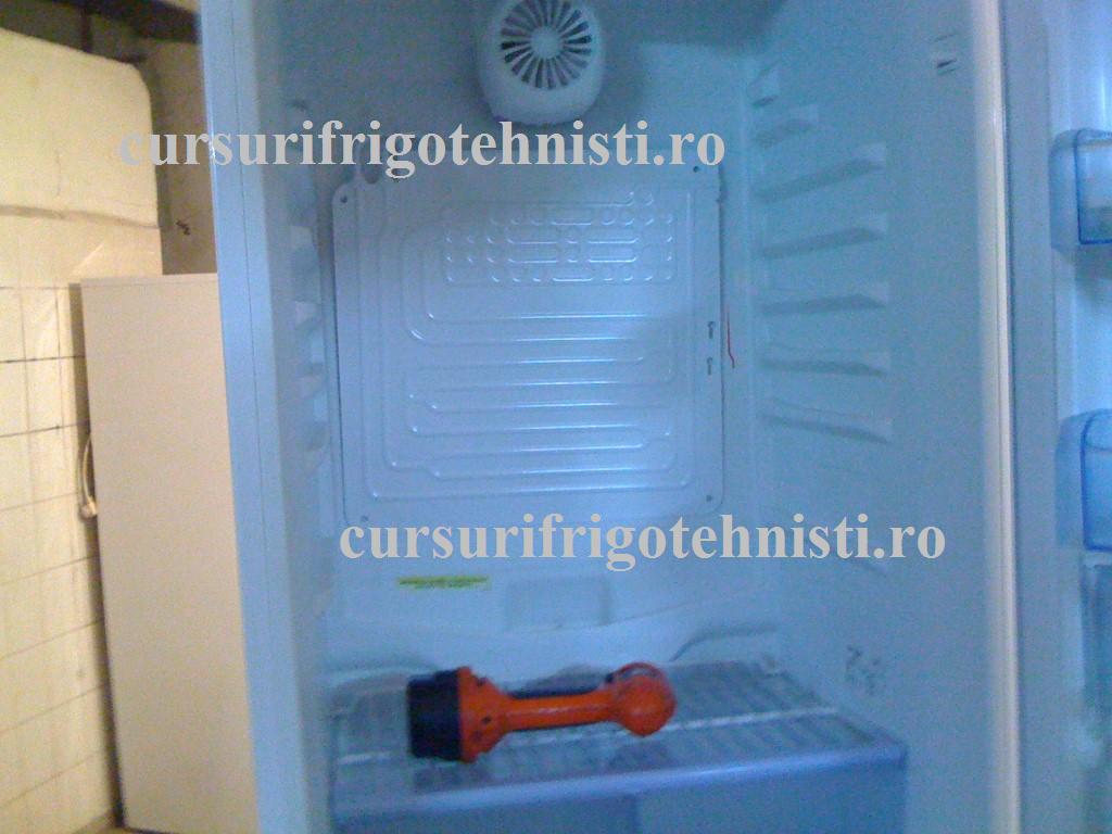 IMG_0211 (Custom).jpg