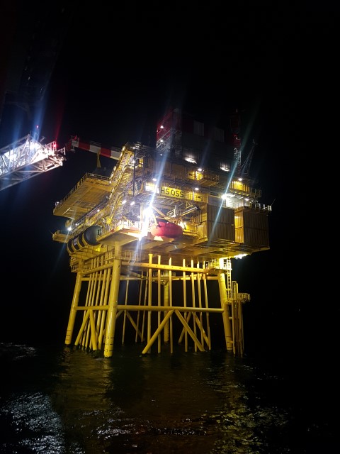 substatia electrica (Small).jpg