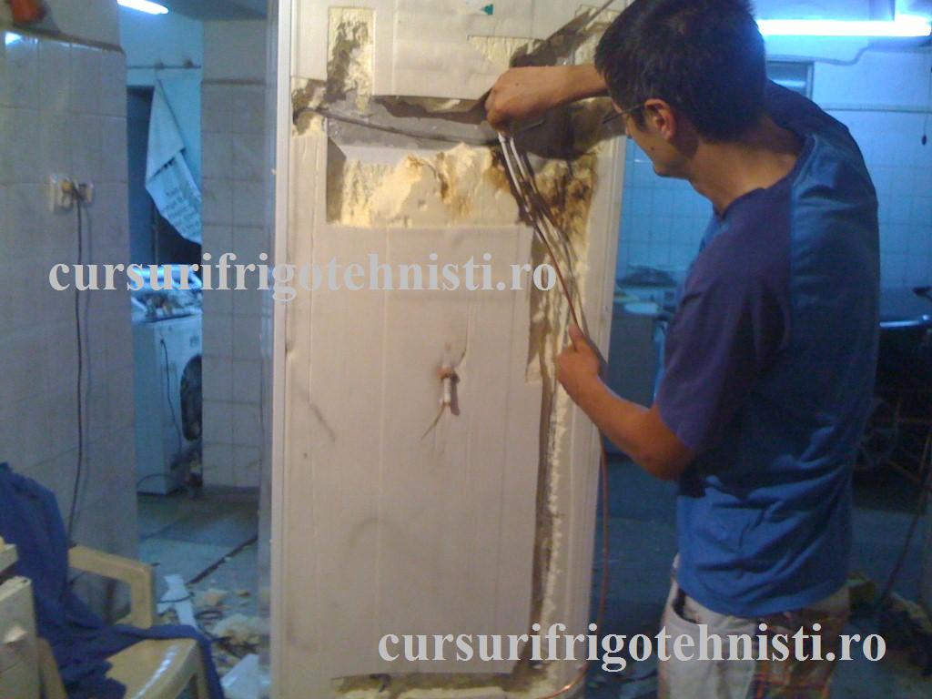 IMG_0207 (Custom).jpg