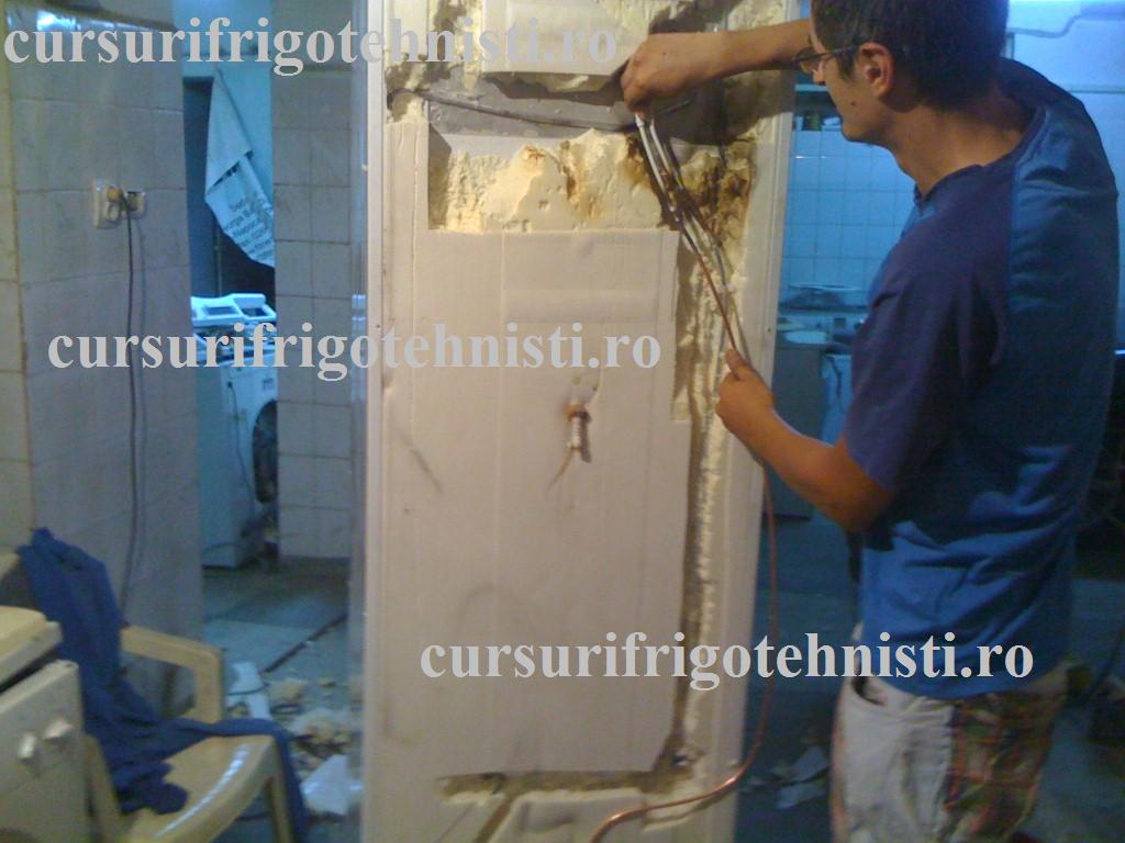 IMG_0206 (Custom).jpg