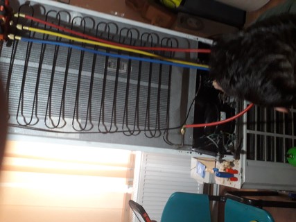 20190213_111121 (Mobile).jpg