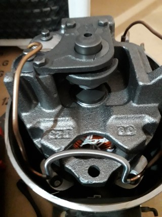 20190227_114745 (Mobile).jpg