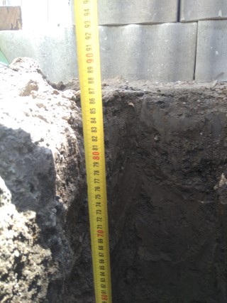 img_20190418_130159 (Mobile).jpg