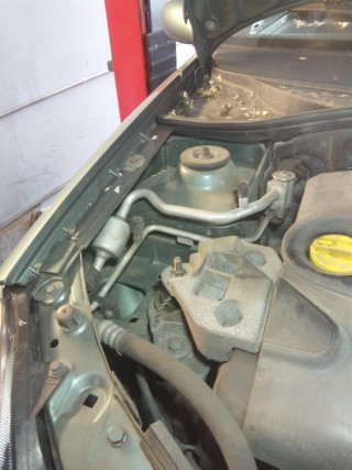 IMG-20190523-WA0001 (Mobile).jpg