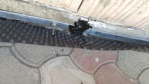 unnamed (6) (Mobile).jpg