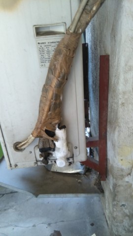 3 yapada pe aspiratie unit externa freon 410 (Mobile).jpg