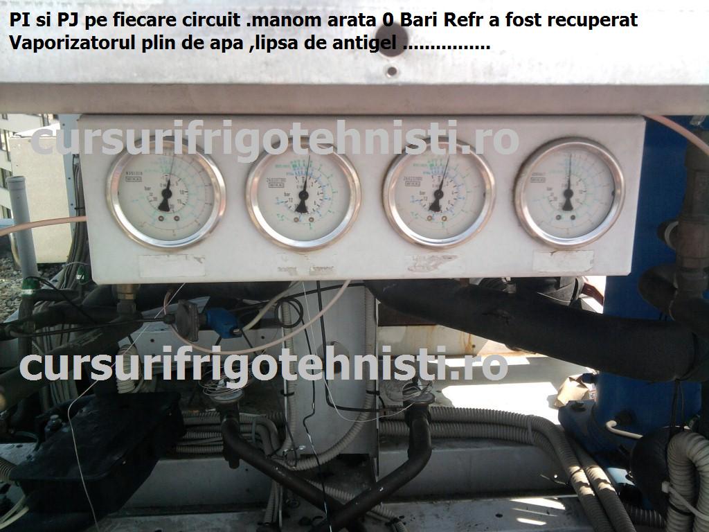 Fotografie0048 (Custom).jpg