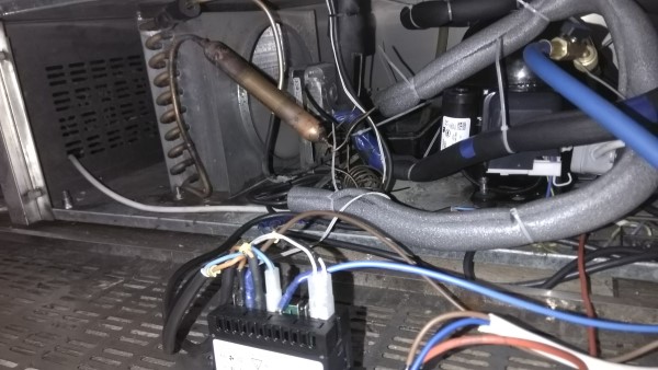 IMG_20190824_162904 (Custom).jpg