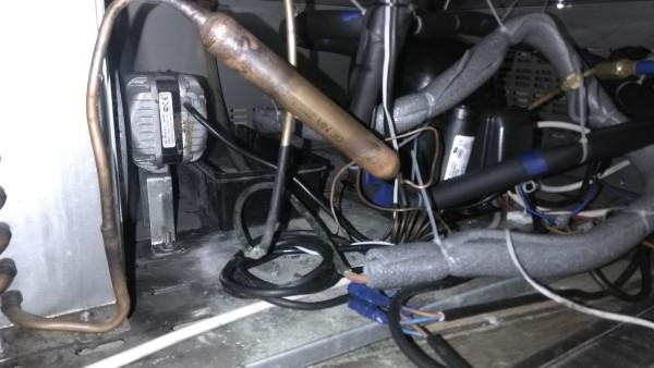 IMG_20190824_163921 (1) (Custom).jpg