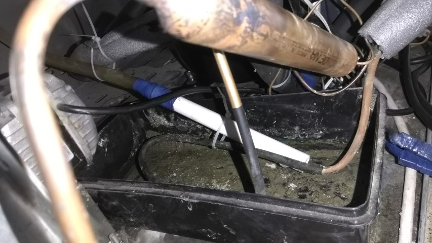 IMG_20190905_095905 (Small).jpg