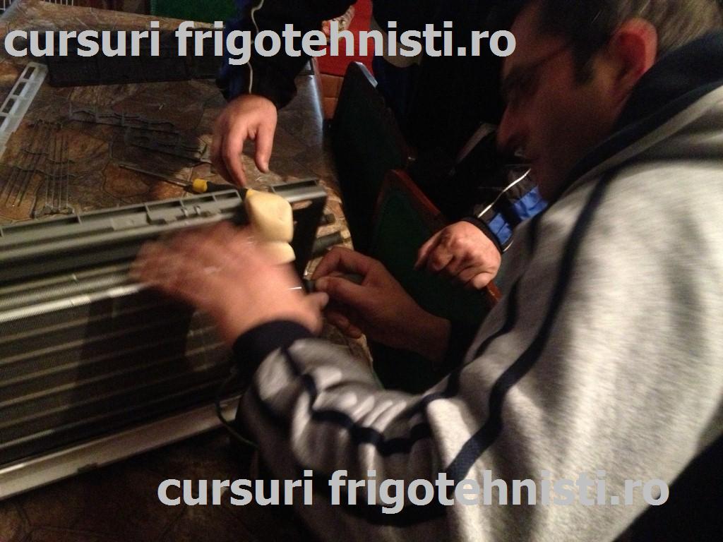 IMG_3351 (Custom).JPG