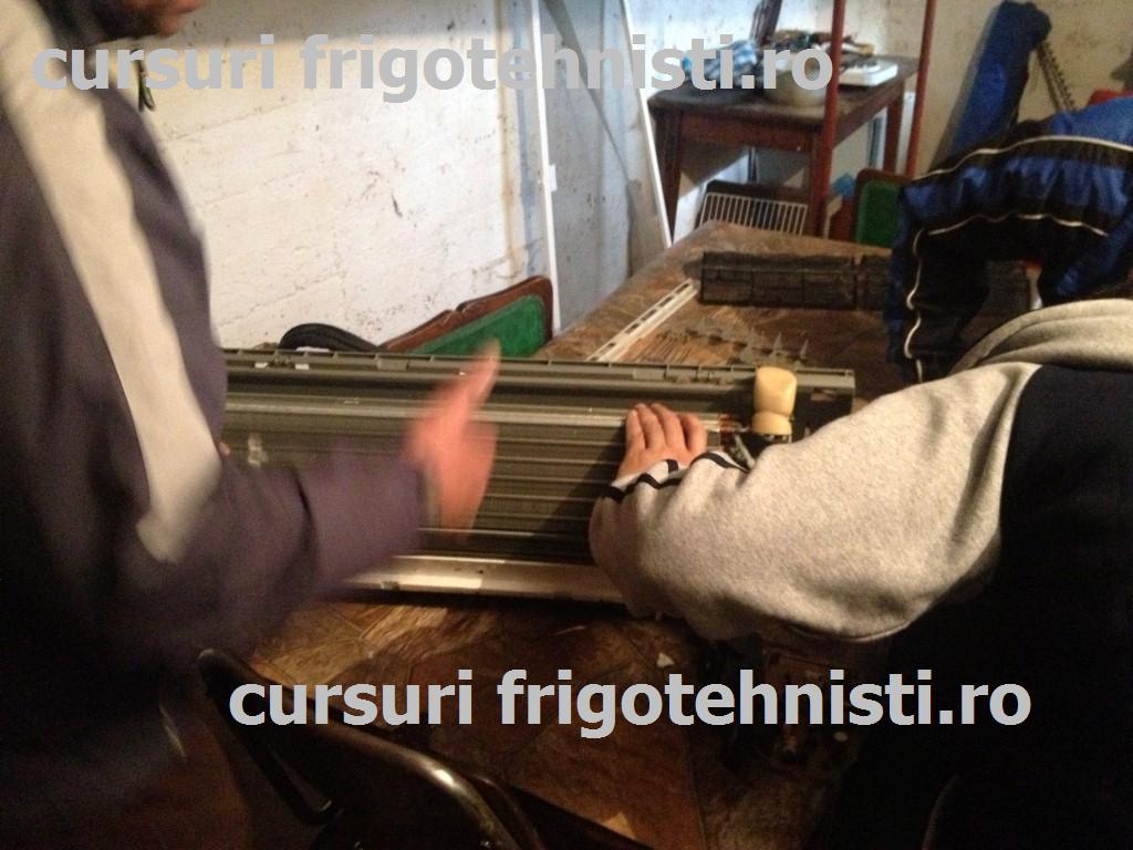 IMG_3350 (Custom).JPG