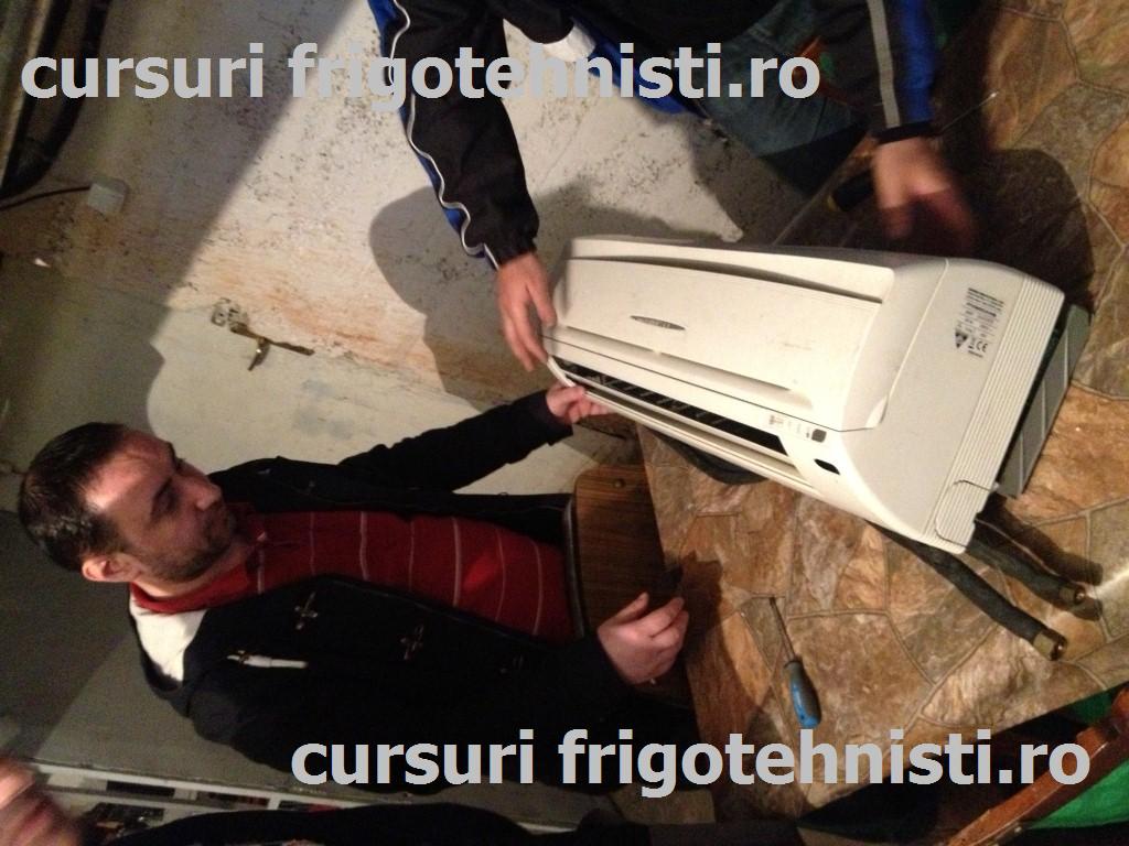 IMG_3366 (Custom).JPG