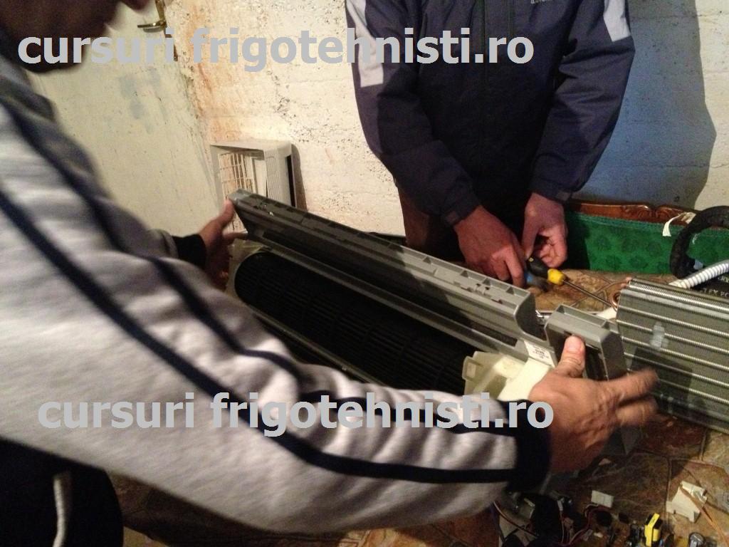 IMG_3359 (Custom).JPG