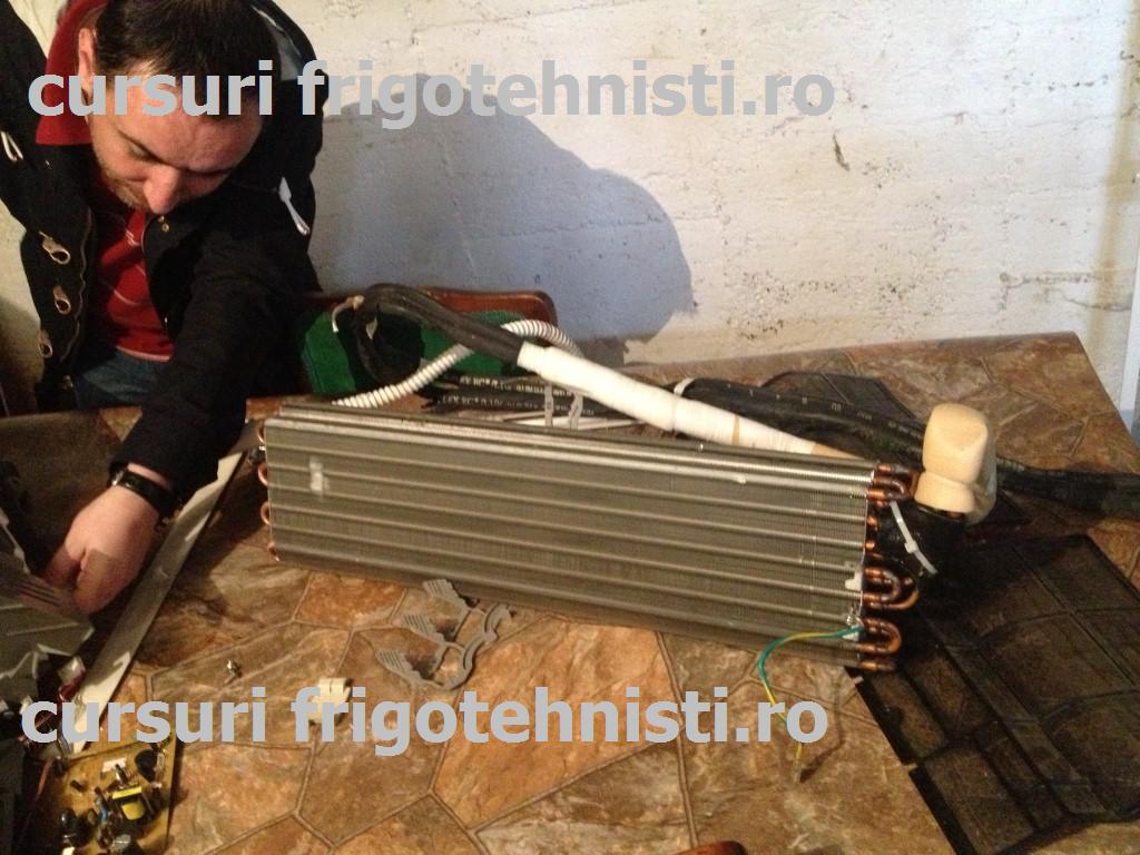 IMG_3358 (Custom).JPG