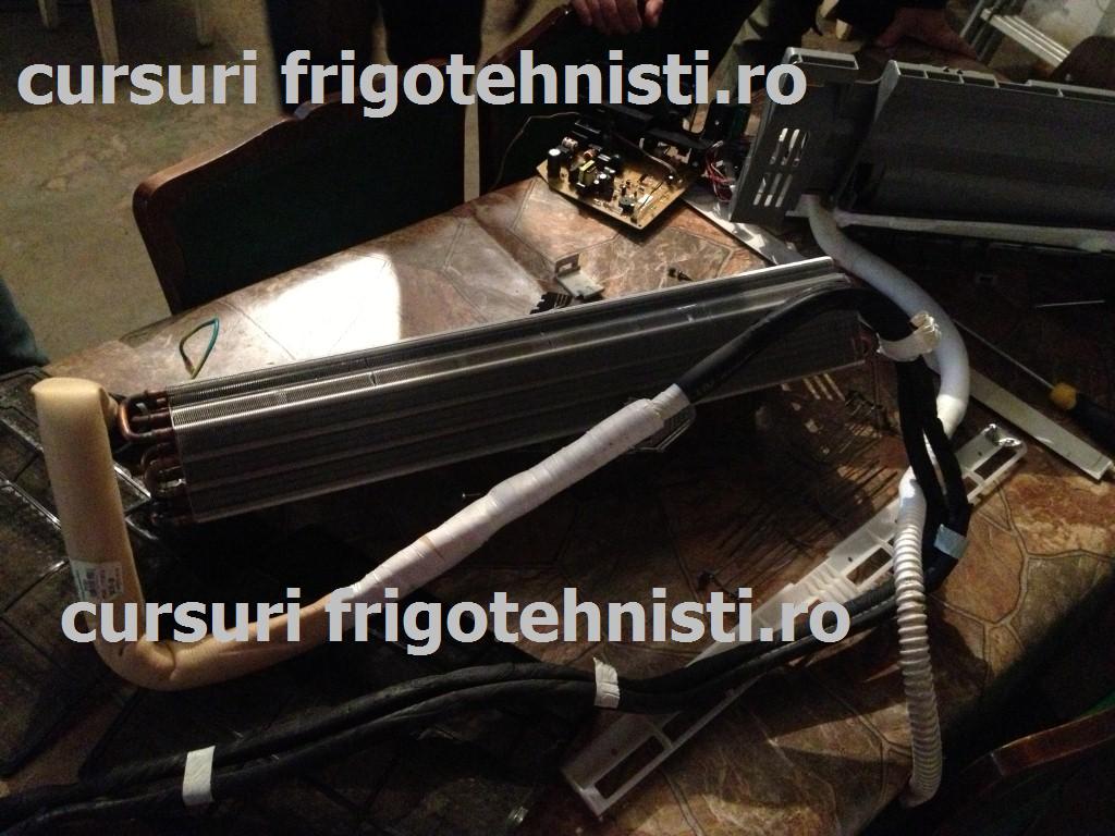 IMG_3356 (Custom).JPG