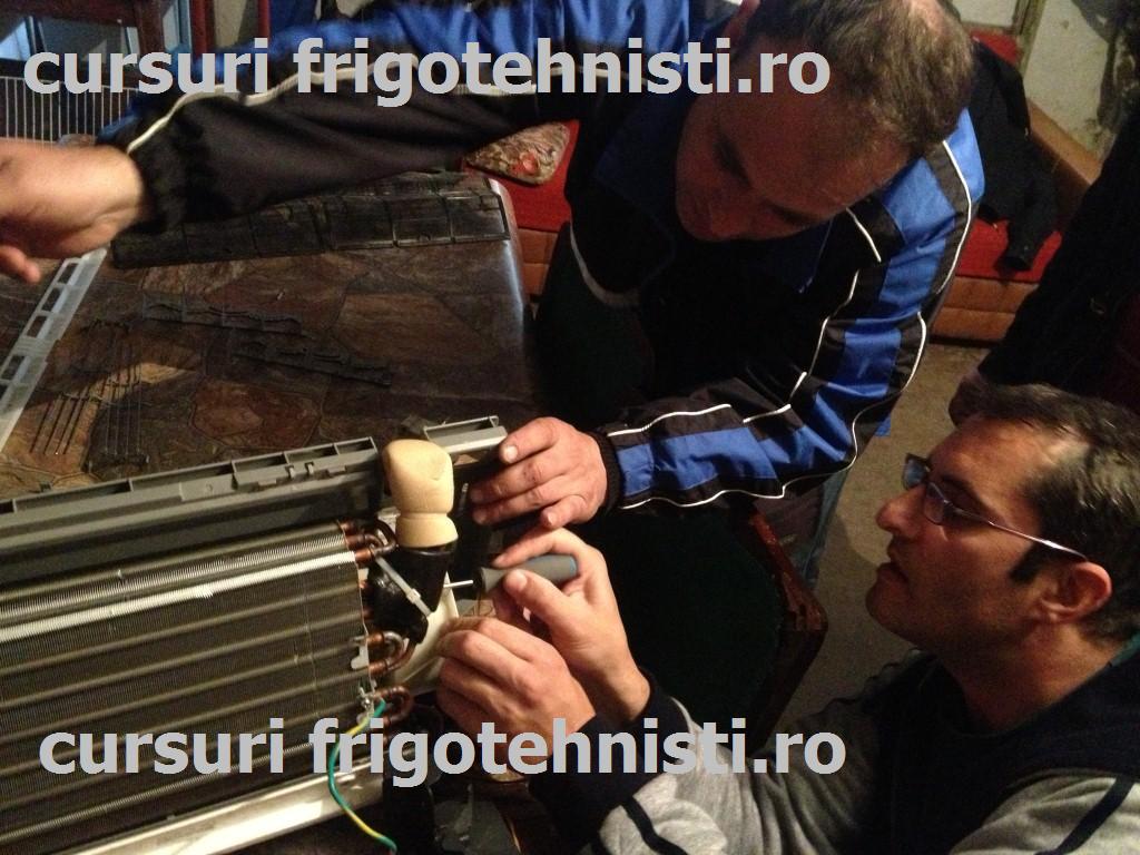 IMG_3352 (Custom).JPG