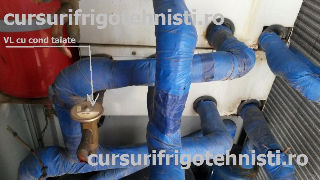 20150416_112955 (Custom).jpg