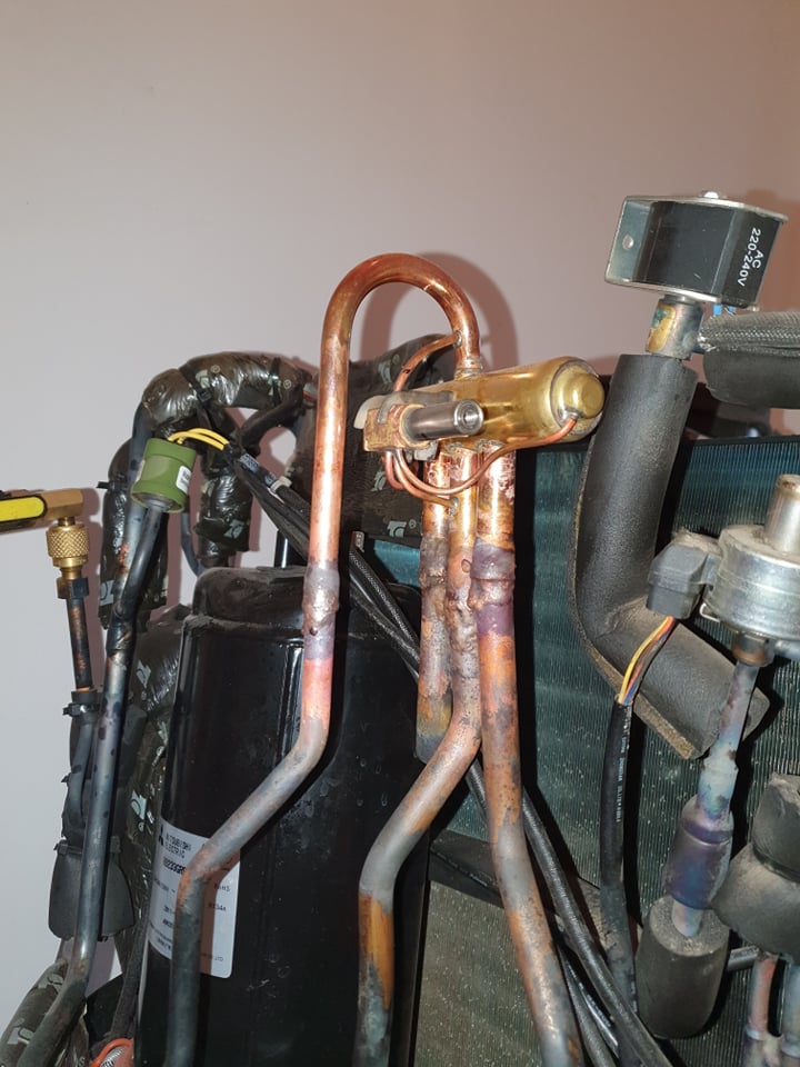 VANA CU 4 CAI BOBINA SCOASA ,PUFAIA PE LANGA CAPILARE.jpg