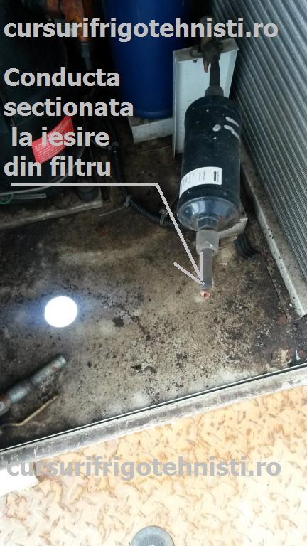 Cond sectionata la Filtru.JPG