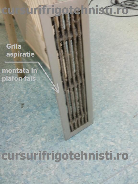 20150204_092639 (Custom).jpg