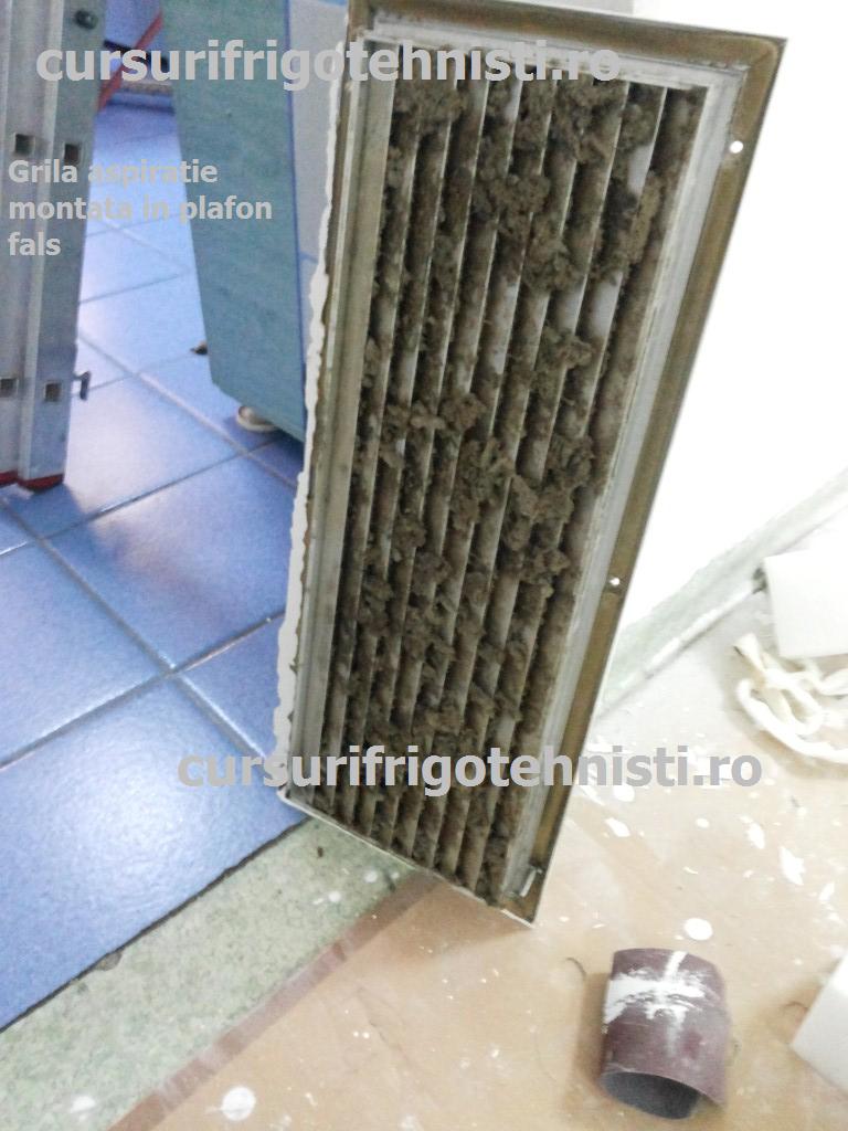 20150204_092933 (Custom).jpg