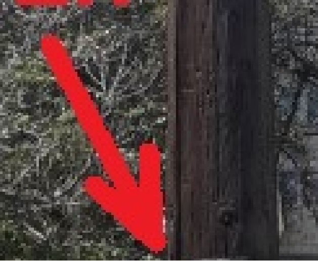 detaliu PE PLATBANDA CARE DUCE LA PEN.jpg