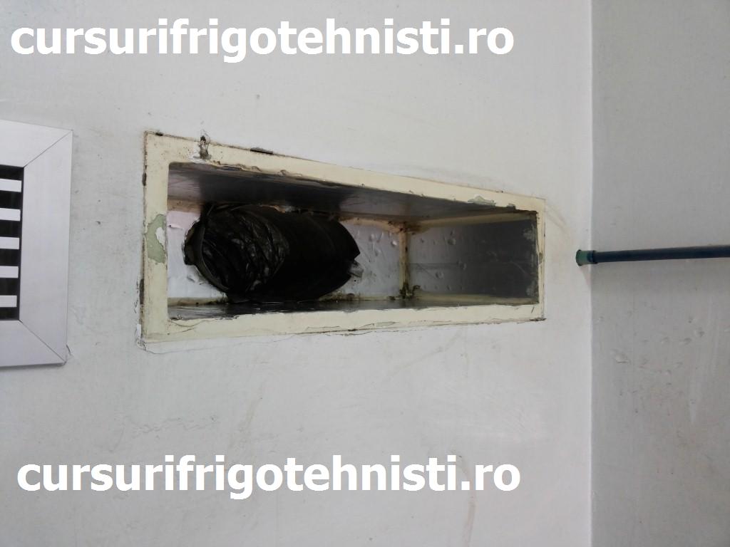 20150204_125335 (Custom).jpg