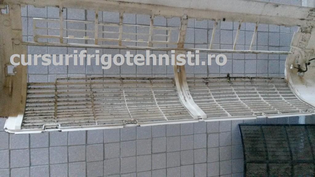 20150403_113422 (Custom).jpg