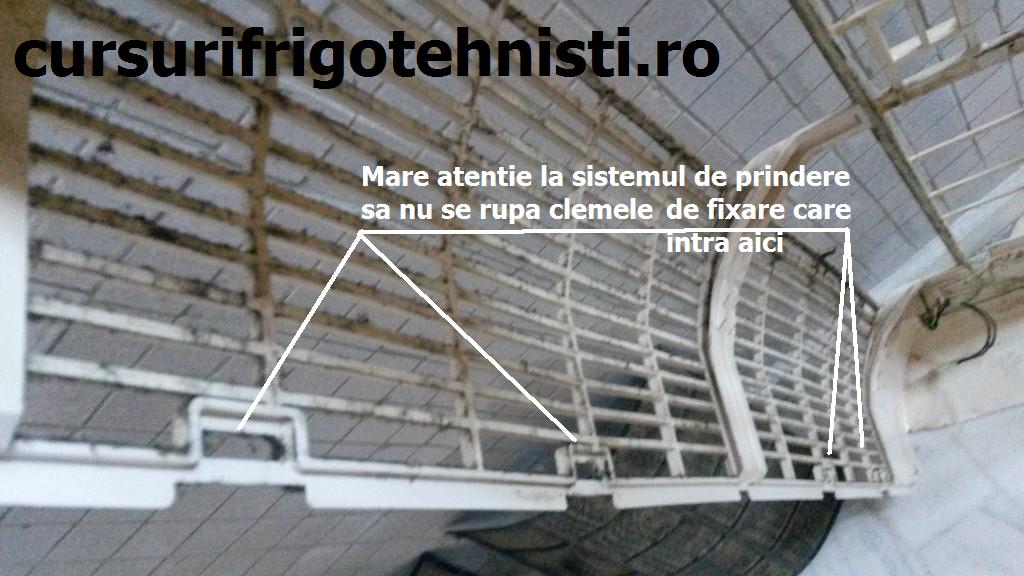 20150403_113436 (Custom).jpg